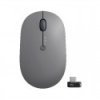 SOURIS MULTI-APPAREILS SANS FIL LENOVO GO (4Y51C21217)