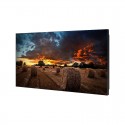 Ecran55'' LFD SAMSUNG VM55T