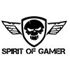 Spirit of gamer